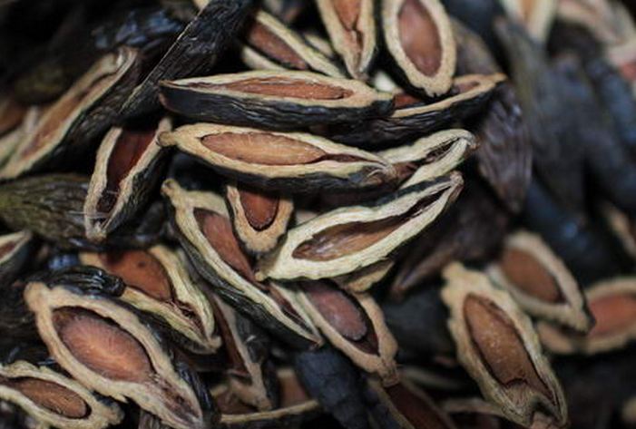 槟榔对口腔的害处有多大,槟榔会对人的口腔造成什么伤害