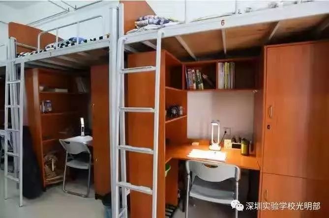 深高级东和深外龙华哪个好,深外龙华高中部成绩