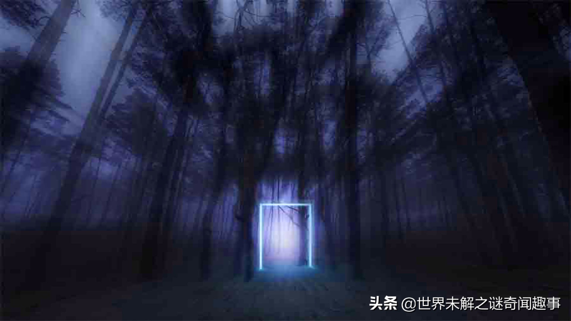 为何霍亚森林没人敢进？女孩无意闯入消失5年，称里面有时空之门