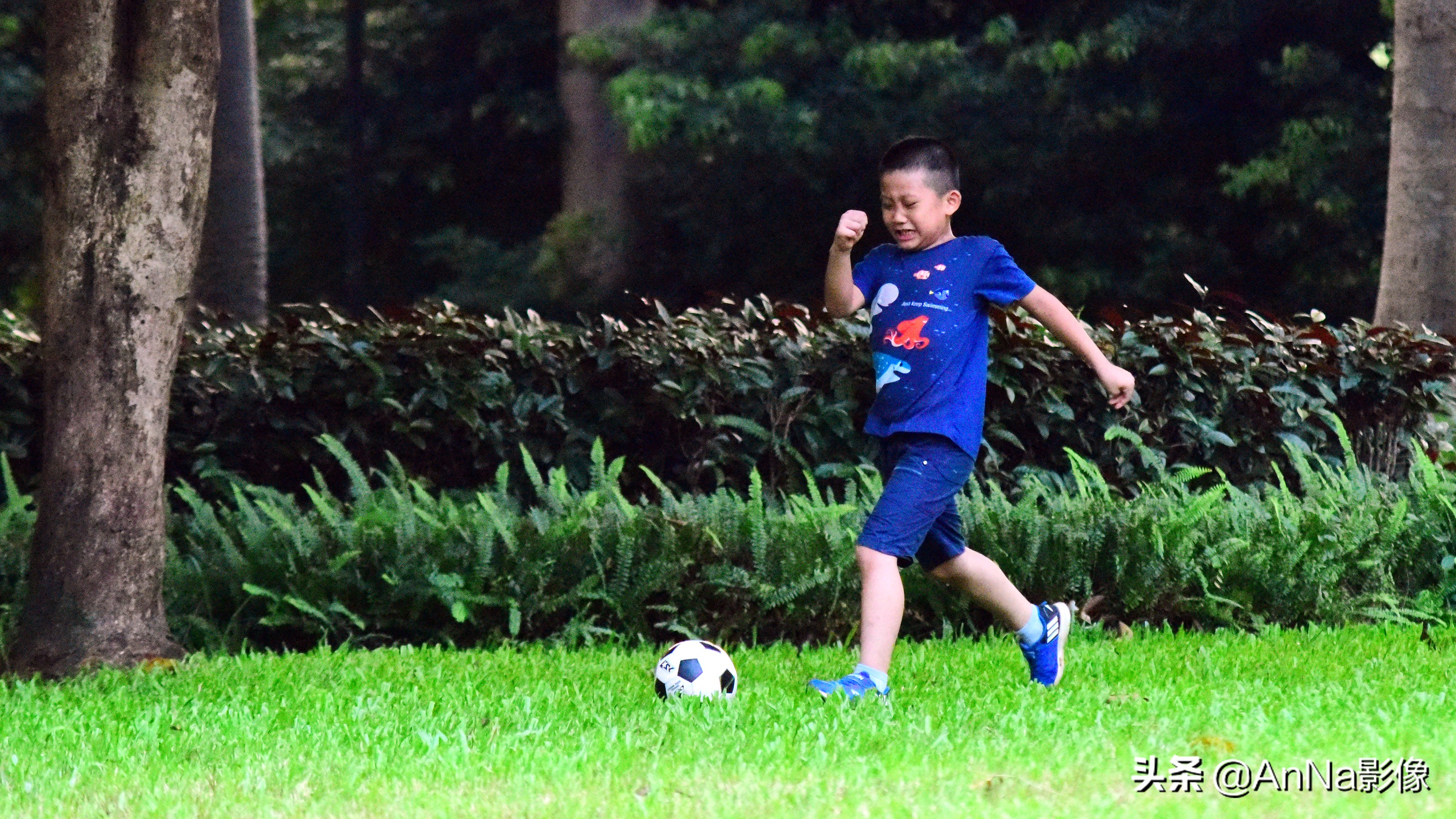 一大片绿荫草地成为孩子们的乐园,一片绿地就是孩子的乐园