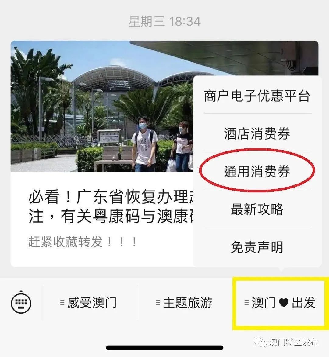 澳门5折优惠券,双11澳门香港
