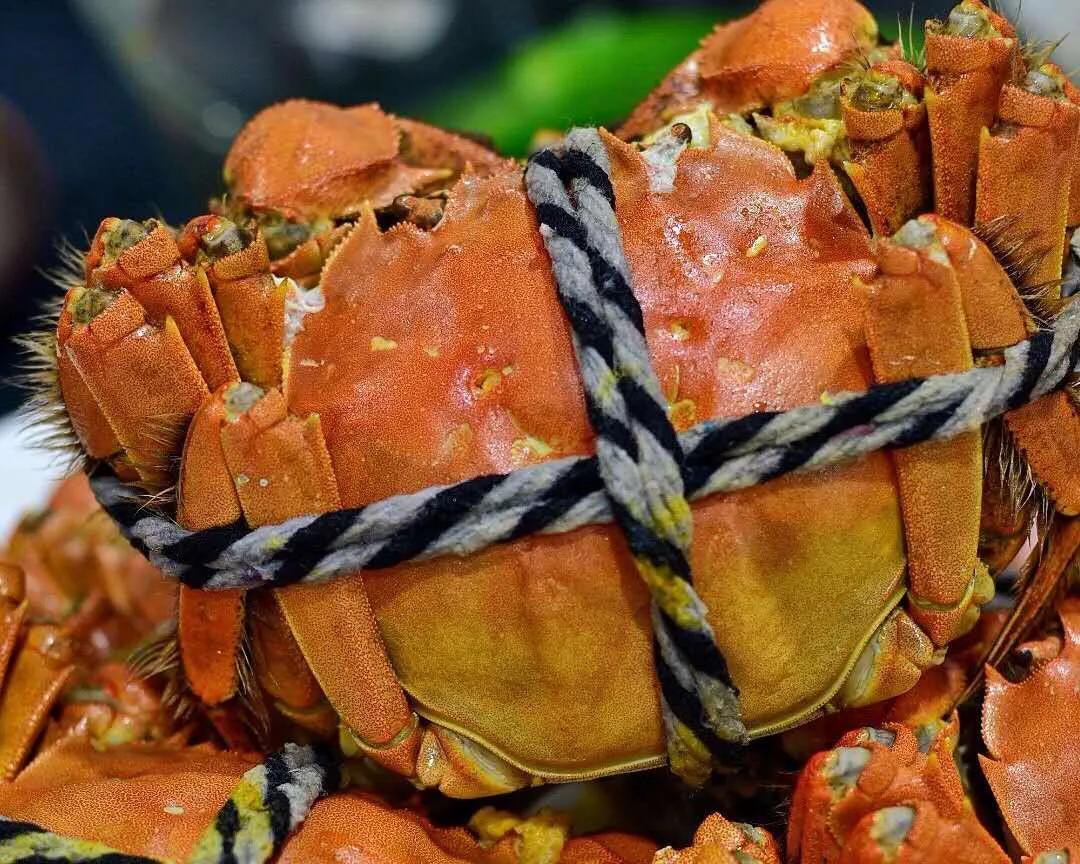 清蒸大闸蟹怎样做蟹黄不流出来,大闸蟹怎么蒸蟹黄才不散