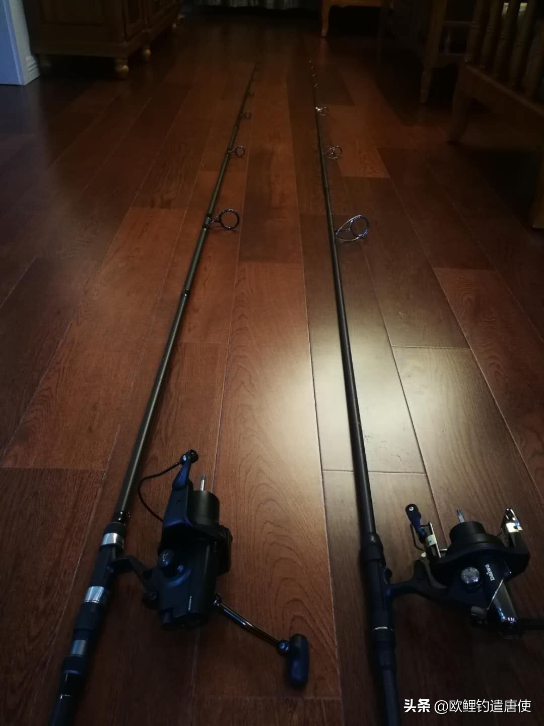 欧鲤钓鱼竿杆包,欧鲤钓竿的选择