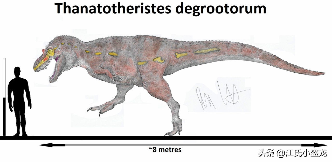 古生物时代有多少种恐龙,人类已经发现了多少恐龙种类