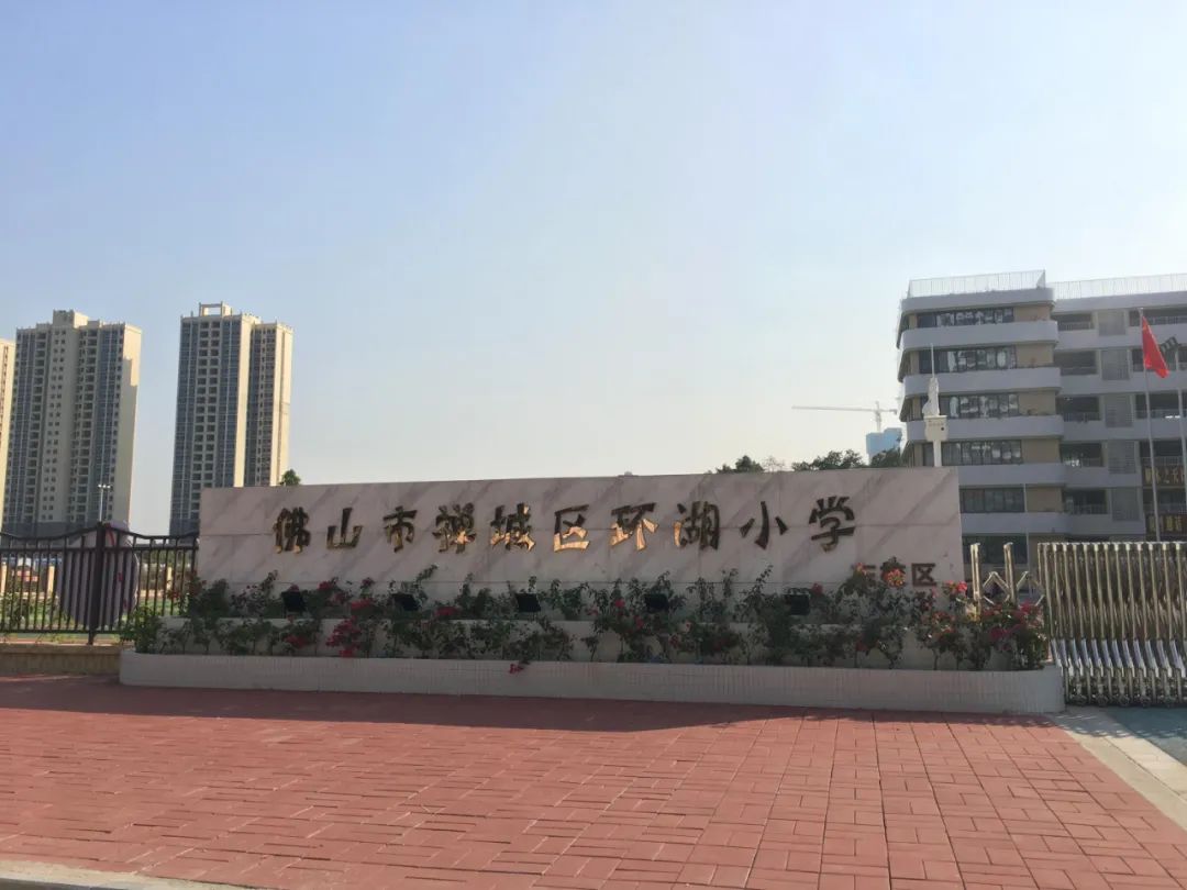 佛山禅城学区房价格,佛山禅城优质小学楼盘