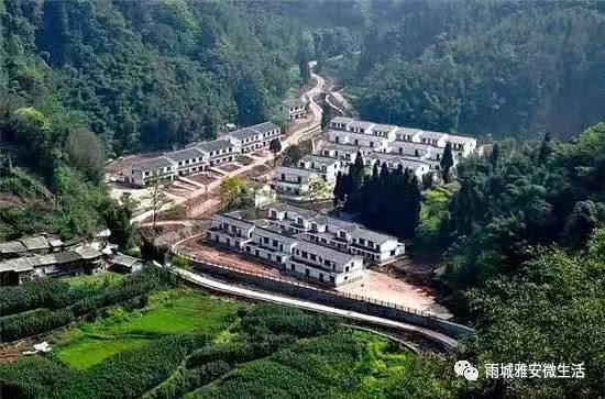 雨城区乡镇名称,雨城区区划