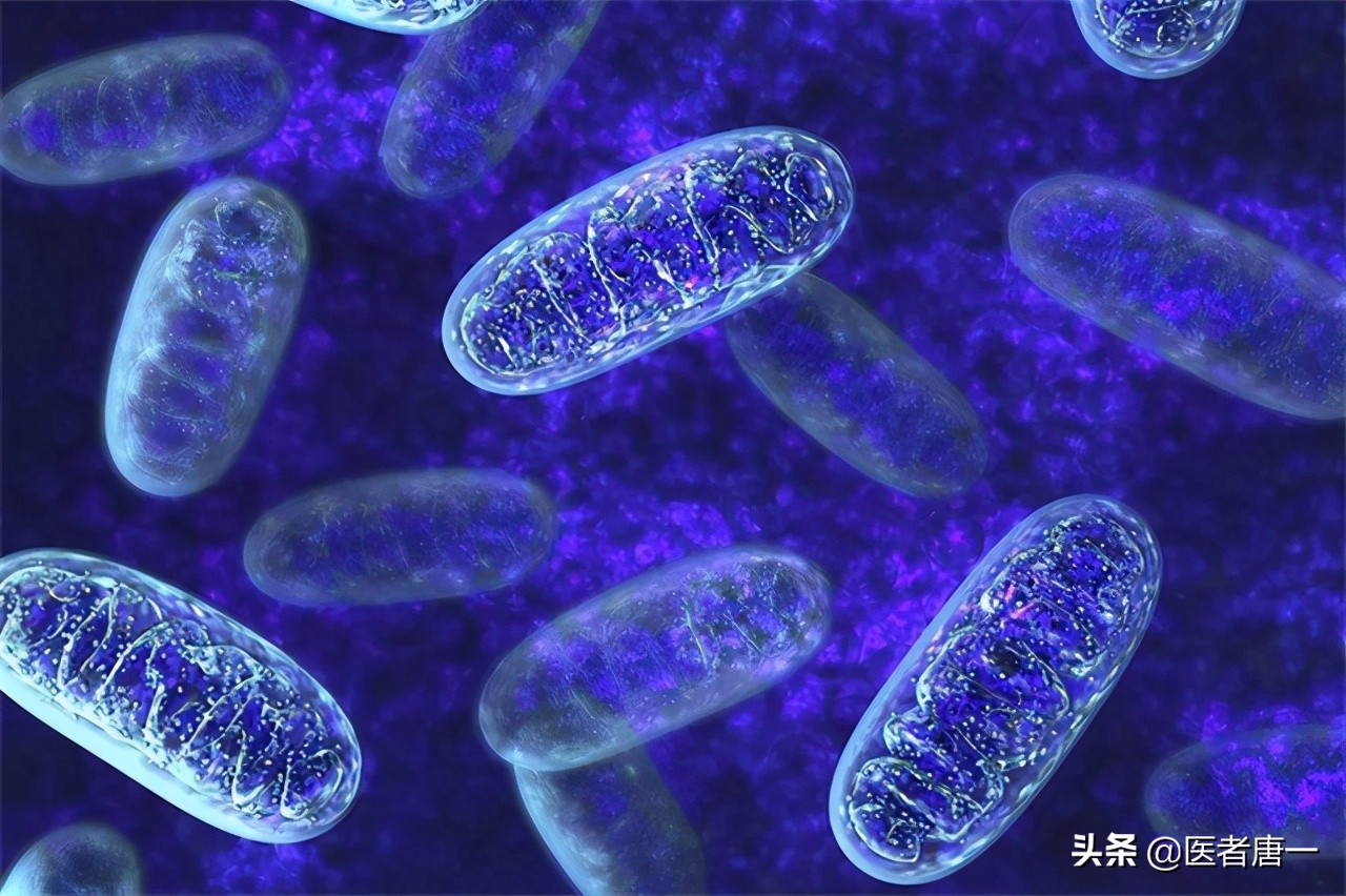 哪些肿瘤患者不能采用免疫治疗,免疫治疗对肿瘤治疗有什么效果