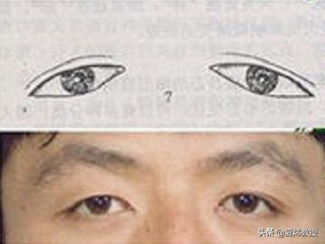 最美的眼睛形状,眼睛是什么样的形状才好看