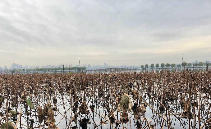 有始有终方能圆满2018年的告别行走