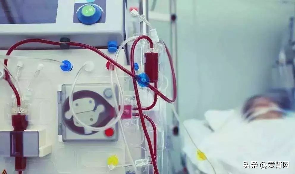 透析病人吃什么食物补铁最好,透析的人最怕什么食物