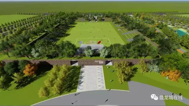 盘龙城足球俱乐部训练基地,盘龙城体育学院