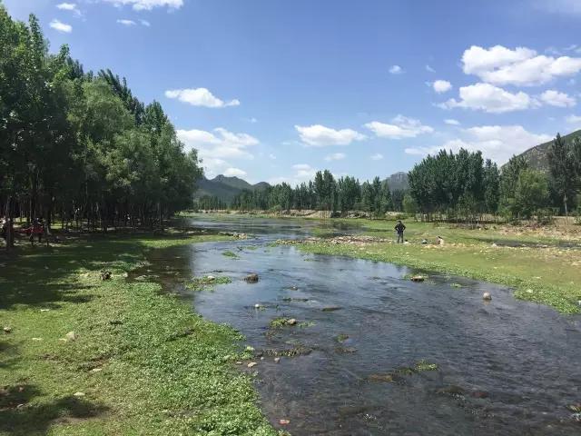 本可以靠脸吃饭却要靠力气吃饭,本来可以靠脸吃饭偏偏靠手艺