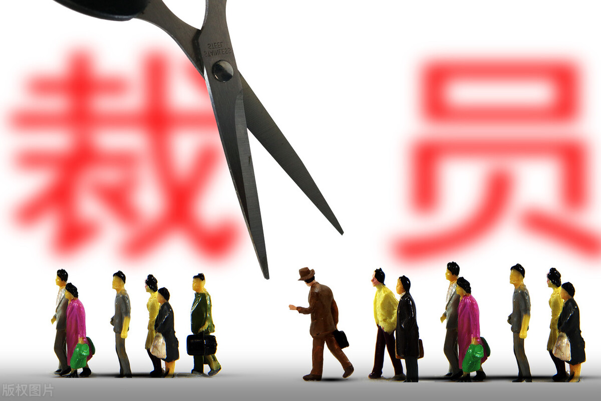 金锣冷鲜肉作为行业龙头，已开始清除自己的生猪了！裁员！清场