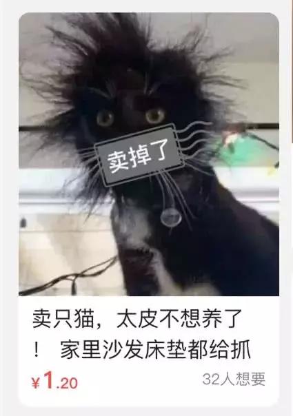 闲鱼神兽,在闲鱼上面买的宠物是真还是假