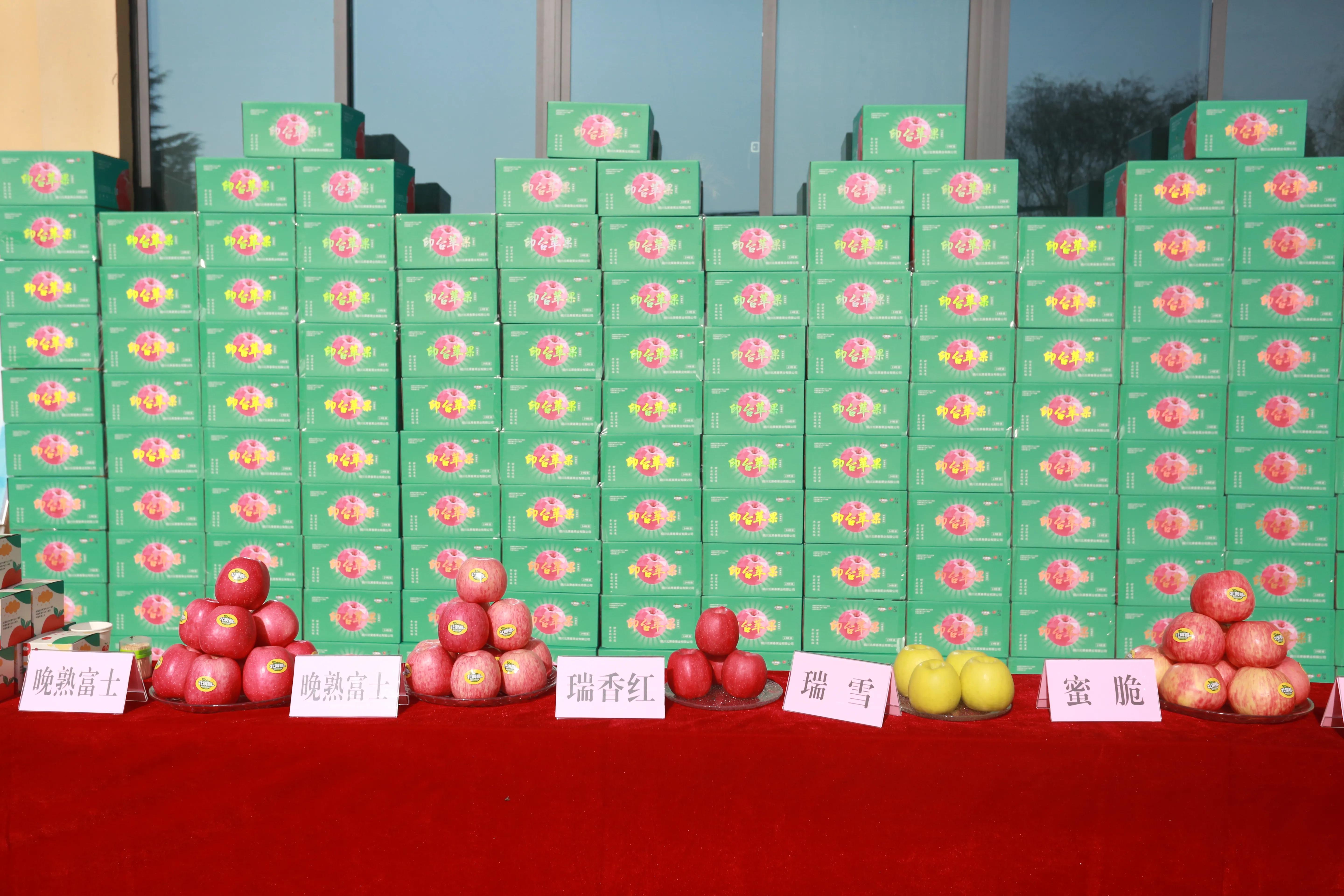 陕西铜川果品,铜川印台镇果业