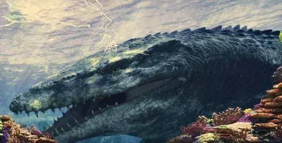 沉浸式乐园强势来袭游客“刷刷刷”不停