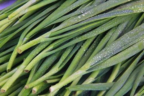 这几种菜再便宜也不要买,韭菜别乱买记住这几点又嫩又新鲜