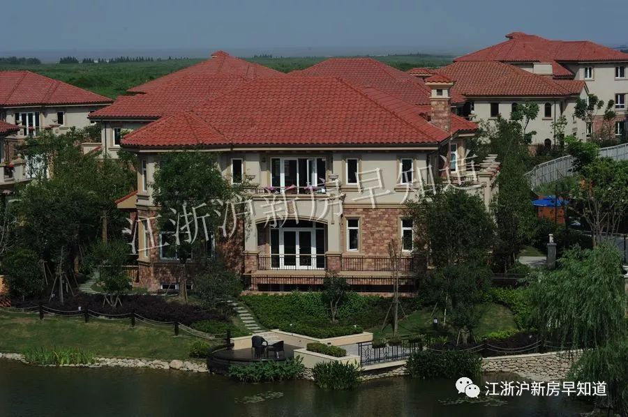 迪士尼别墅楼盘,上海浦东迪士尼花海自建房出售