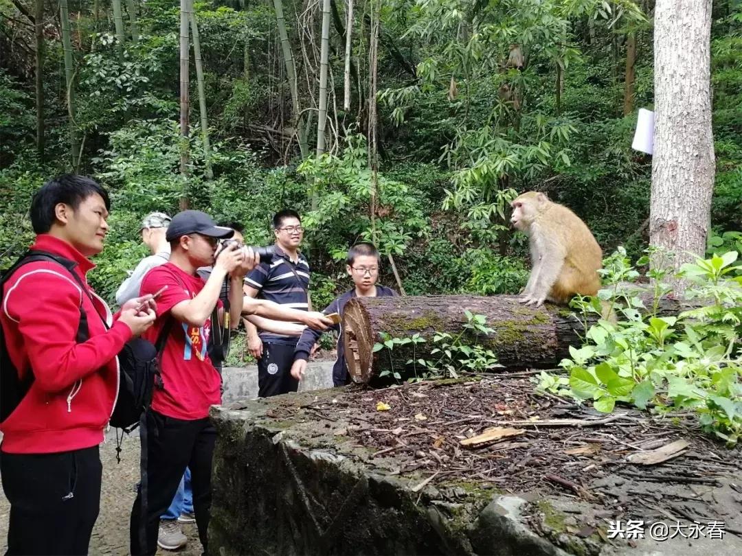 有一种生活叫永春啊,有一种生活叫永春
