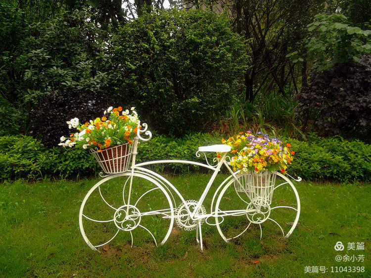 美丽的百合花钩织教程,美丽的百合花歌曲歌词