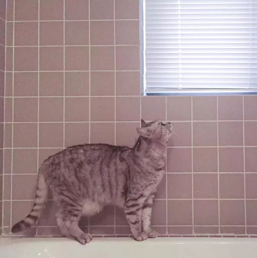 90后花9000元爆改老房子,90后夫妻精心改造精装房