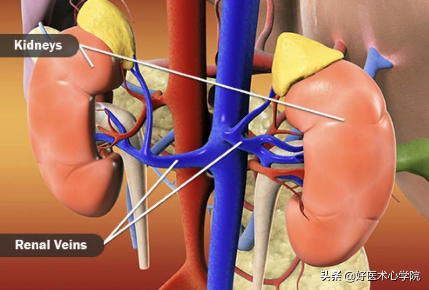 最常见的血栓类型是,最致命血栓视频