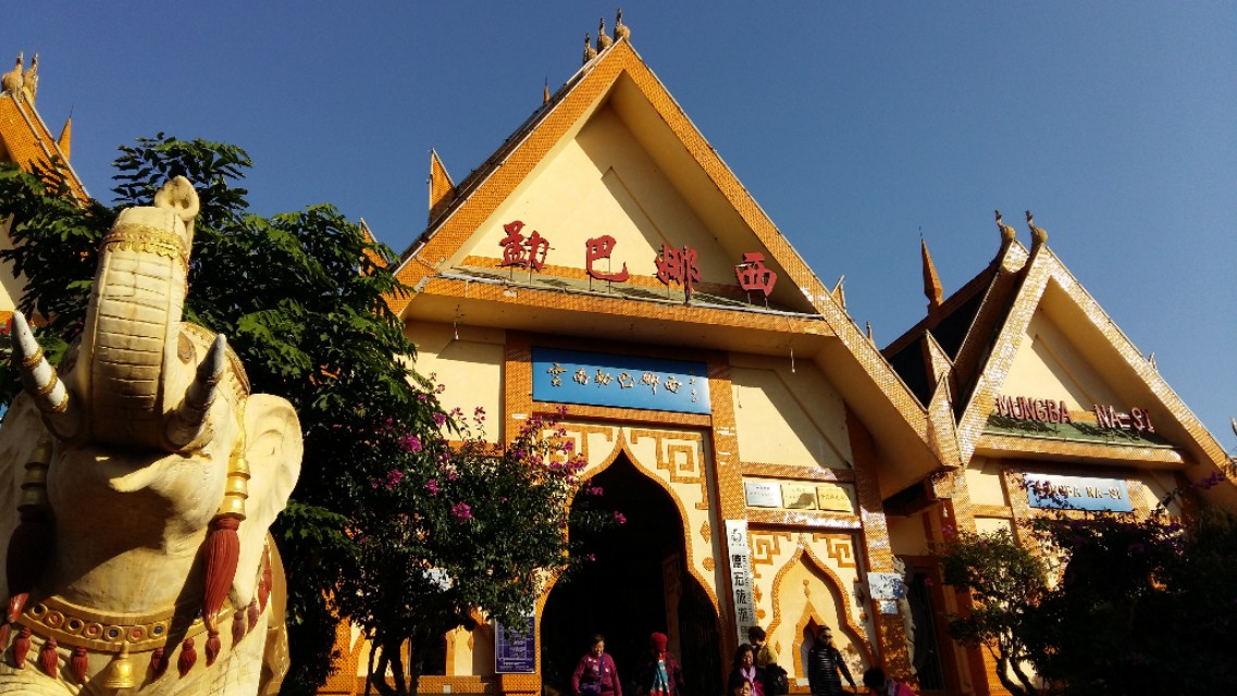 他发明了树木打点滴，到云南不要错过他的珍奇园