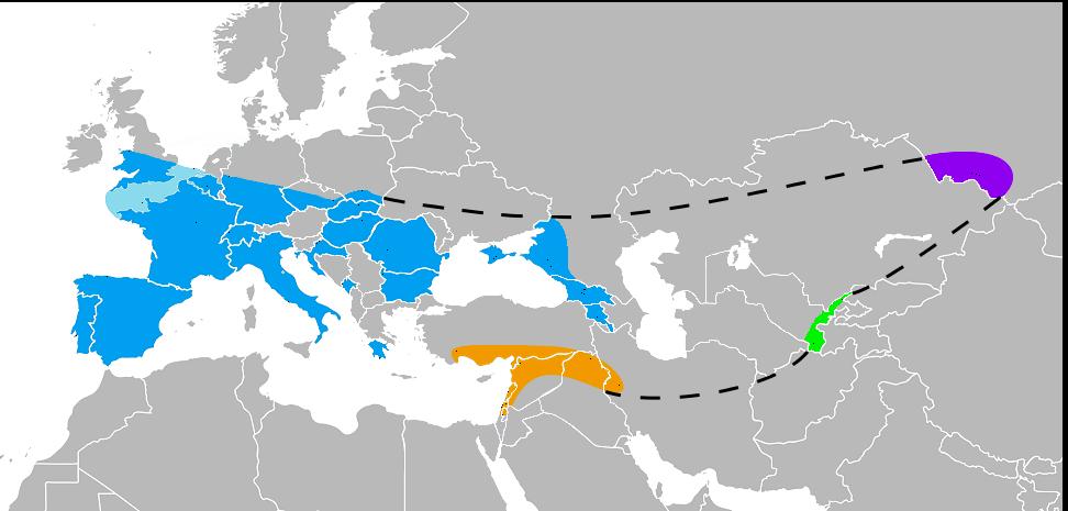 东亚人为什么有尼安德特人基因,尼安德特人和智人的混血