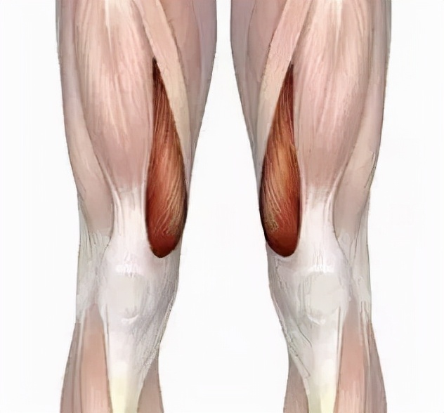 前叉术后多久可以爬楼梯训练,前叉术后怎么进行上下楼梯练习