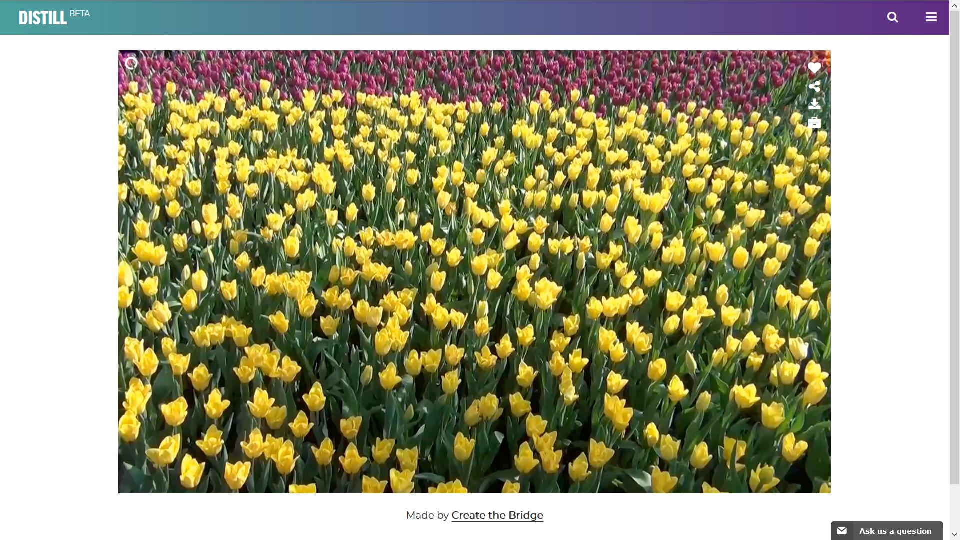 年会视频素材哪儿里找？这些免费无版权视频网站请收好