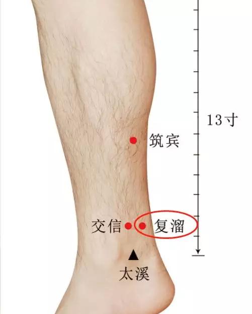 人老腿先衰是精气不足了吗,人老腿先衰诗词