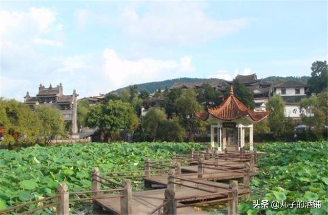 活动赏荷观光让你沉醉在这个夏天,这个夏天来苏州赏荷吧