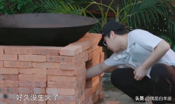 蘑菇屋导演复盘,蘑菇屋导演谈苏醒