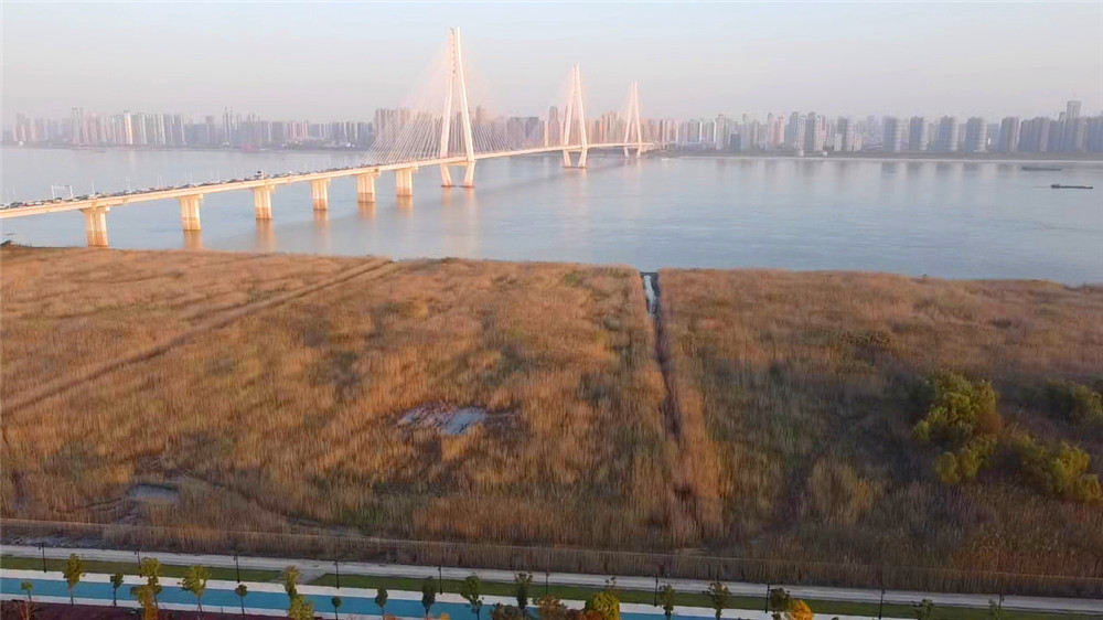 汉口江滩四期向游客开放,武汉打卡江滩公园