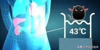 医学科普肿瘤细胞,医学科普怎样进行肿瘤热疗