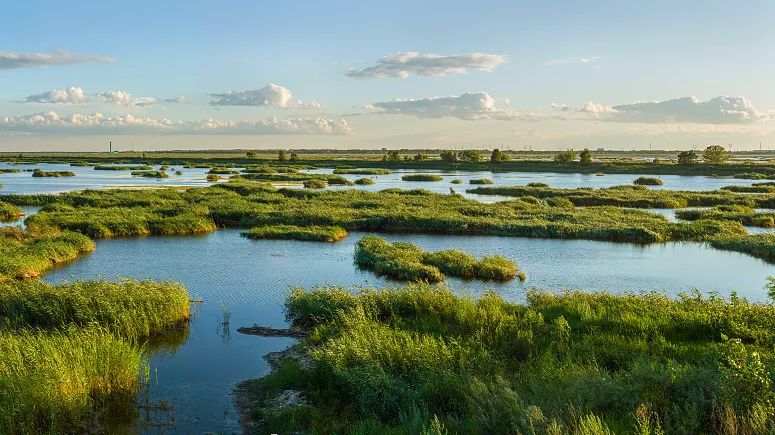 槐林湿地公园地址,槐林湿地公园可以进去么