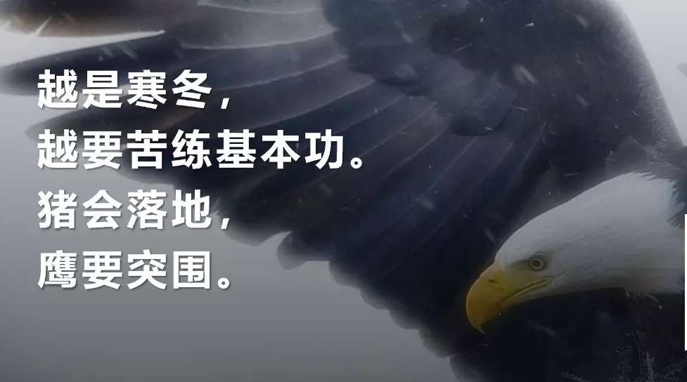 充着钱去的一般都赚不到钱,冲着钱去的往往赚不到钱