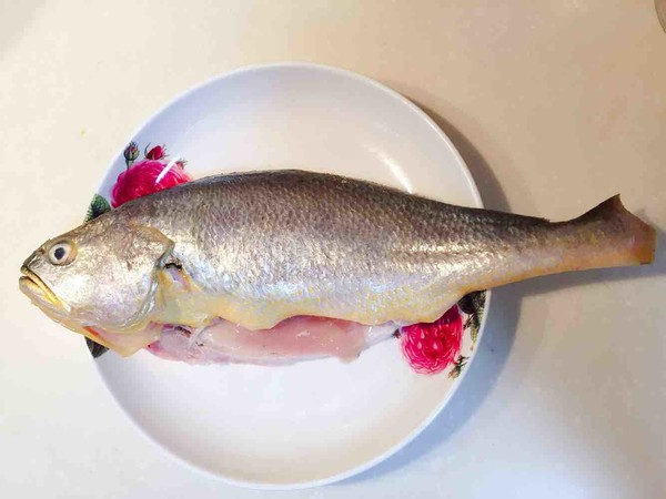 炖鱼汤一般什么鱼炖的好吃,炖鱼汤要用什么鱼做才好吃有营养