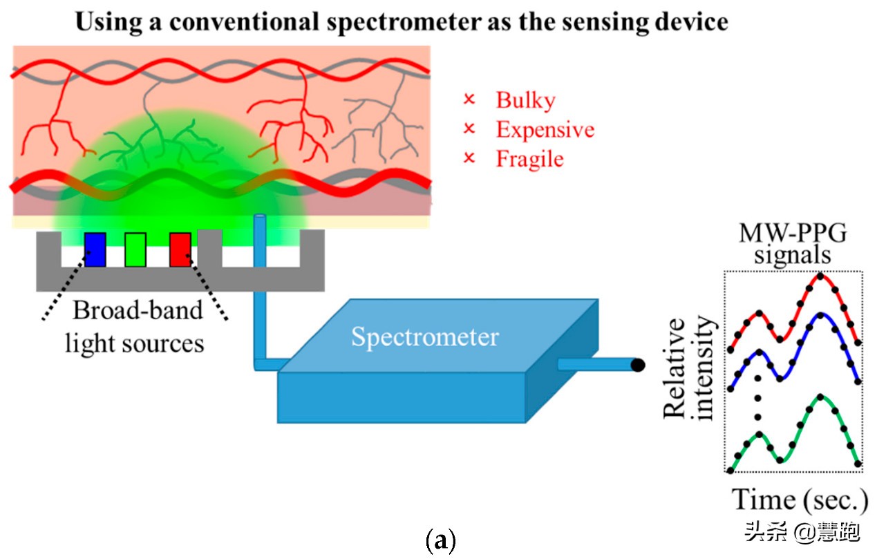 运动手表怎么佩戴测量心率才准确,心率手表到底准不准