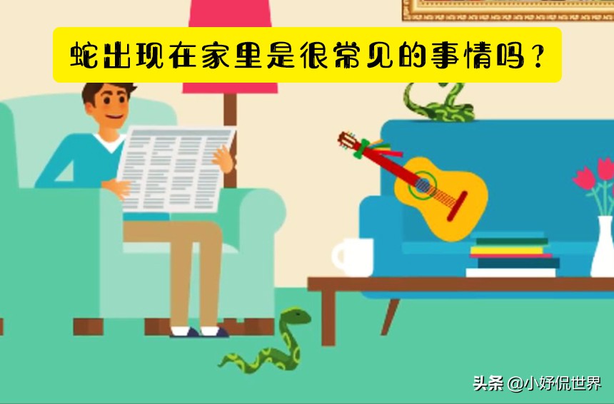 脑洞大开怎么才能过去呢,如果蛇闯进家里怎么办