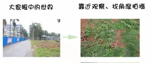 唯美照片必备技能光斑拍摄*法大**撩妹技巧