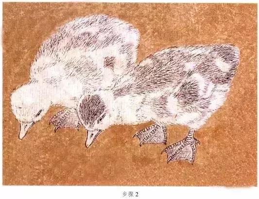 苏百钧工笔国画教学视频,苏百钧花鸟白描画稿