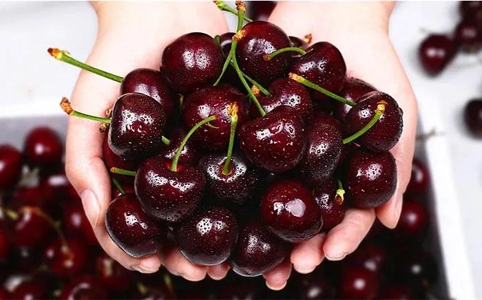 50元一斤草莓被骗,一颗60元白色草莓