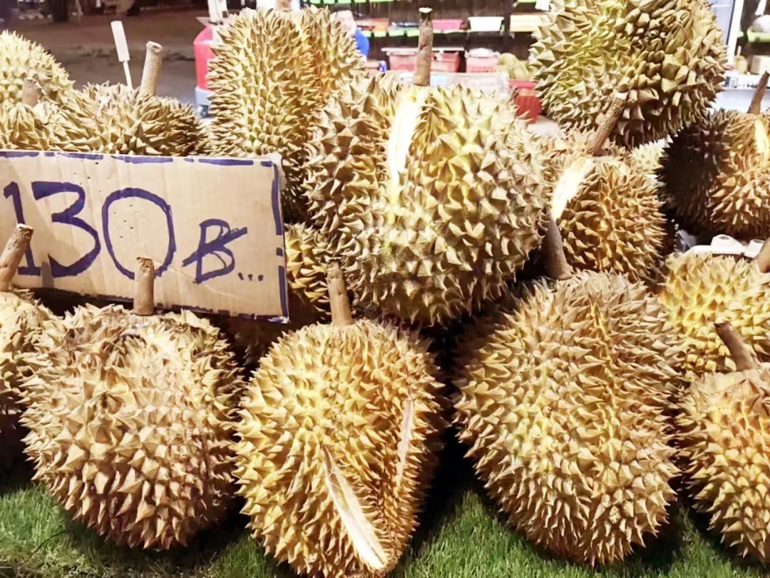 泰国清迈特产水果,泰国清迈的玫瑰