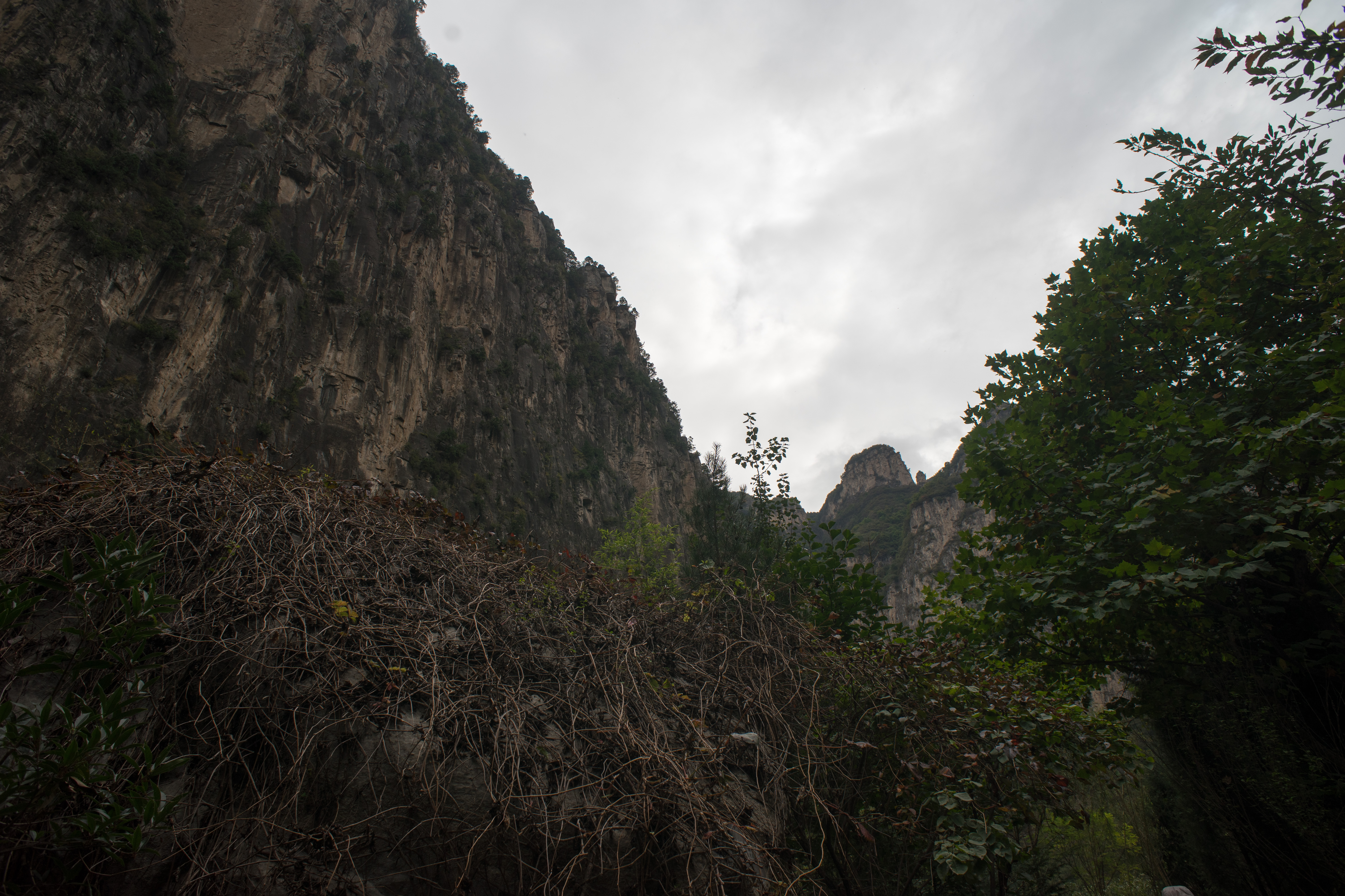 壶关太行山大峡谷一日游最佳路线,壶关太行山大峡谷一日游自驾游