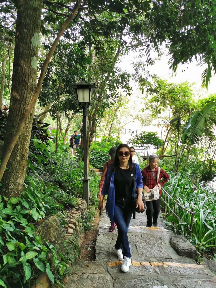 三亚冲浪旅行攻略,去三亚旅游看海