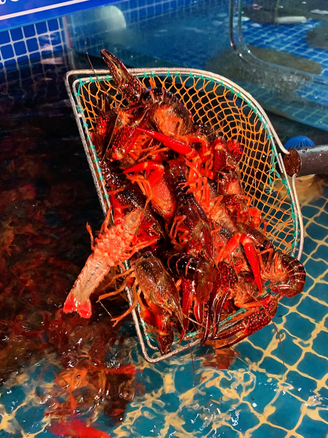 30年老厨师毫不保留教你做香辣酱,30年的老厨师教做新疆大盘鸡