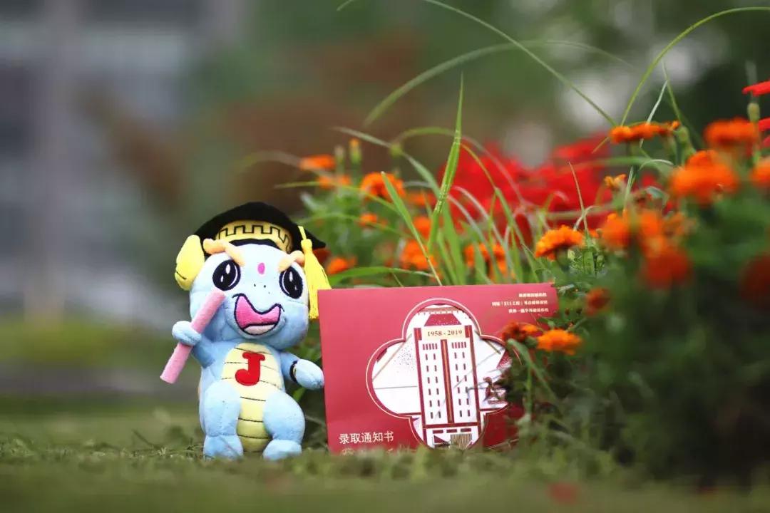 江南大学入学指南,江南大学本科2019招生简章