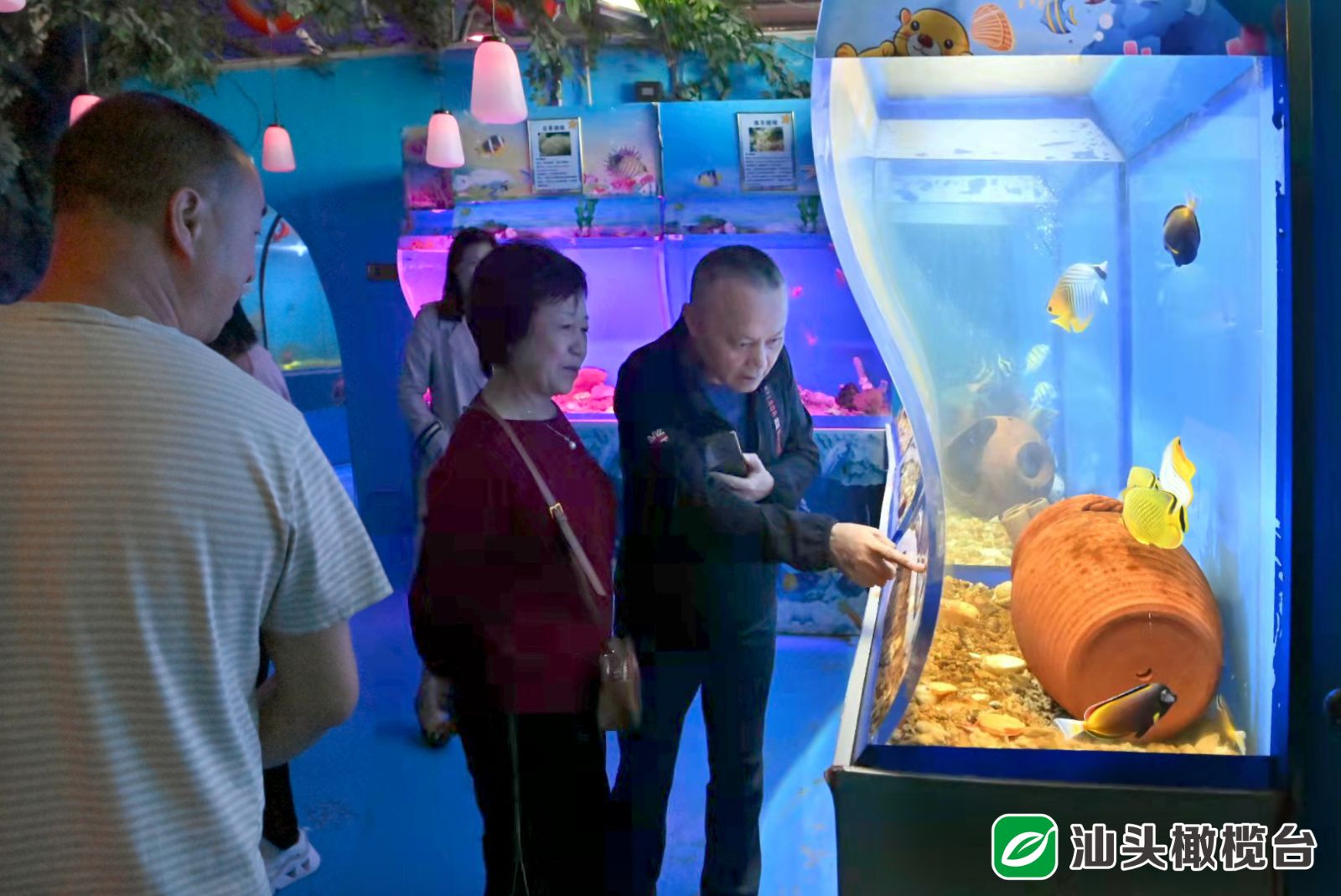 浸春湖水清鱼跃成网红打卡点！金砂公园经改造焕新颜