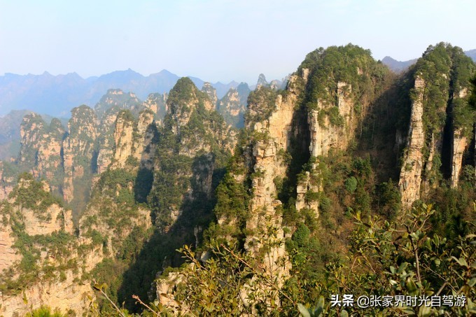 张家界森林公园亲子游攻略,张家界旅游攻略现在张家界气温